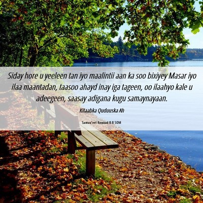 Picture 06 - Samuu'eel Kowaad 8:8 SOM - Siday hore u yeeleen tan iyo maalintii aan ka soo - Bible Verse Picture