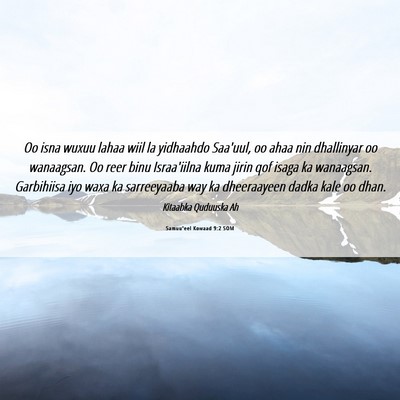 Picture 06 - Samuu'eel Kowaad 9:2 SOM - Oo isna wuxuu lahaa wiil la yidhaahdo Saa'uul, oo - Bible Verse Picture
