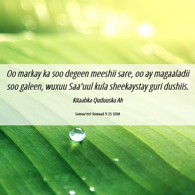 Picture 06 - Samuu'eel Kowaad 9:25 SOM - Oo markay ka soo degeen meeshii sare, oo ay - Bible Verse Picture