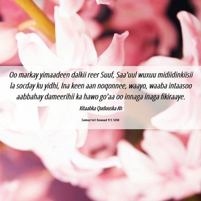 Picture 06 - Samuu'eel Kowaad 9:5 SOM - Oo markay yimaadeen dalkii reer Suuf, Saa'uul - Bible Verse Picture