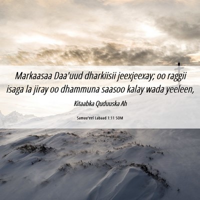 Picture 06 - Samuu'eel Labaad 1:11 SOM - Markaasaa Daa'uud dharkiisii jeexjeexay; oo - Bible Verse Picture