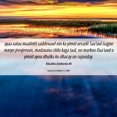 Picture 06 - Samuu'eel Labaad 1:2 SOM - ayaa xataa maalintii saddexaad nin ka yimid - Bible Verse Picture