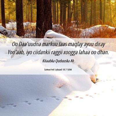 Picture 06 - Samuu'eel Labaad 10:7 SOM - Oo Daa'uudna markuu taas maqlay ayuu diray - Bible Verse Picture