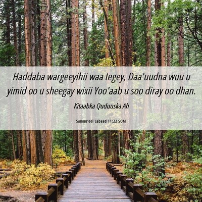 Picture 06 - Samuu'eel Labaad 11:22 SOM - Haddaba wargeeyihii waa tegey, Daa'uudna wuu u - Bible Verse Picture