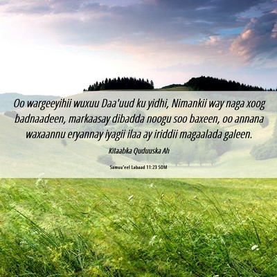 Picture 06 - Samuu'eel Labaad 11:23 SOM - Oo wargeeyihii wuxuu Daa'uud ku yidhi, Nimankii - Bible Verse Picture