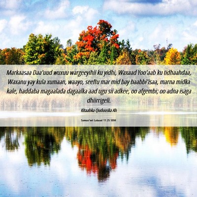 Picture 06 - Samuu'eel Labaad 11:25 SOM - Markaasaa Daa'uud wuxuu wargeeyihii ku yidhi, - Bible Verse Picture