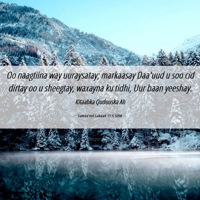 Picture 06 - Samuu'eel Labaad 11:5 SOM - Oo naagtiina way uuraysatay; markaasay Daa'uud u - Bible Verse Picture