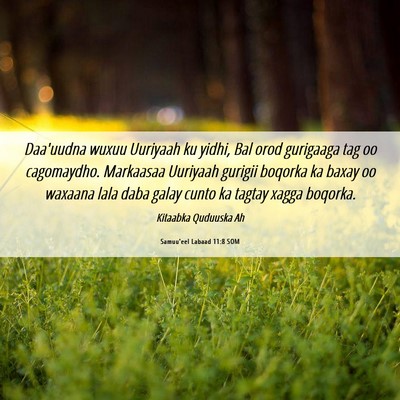 Picture 06 - Samuu'eel Labaad 11:8 SOM - Daa'uudna wuxuu Uuriyaah ku yidhi, Bal orod - Bible Verse Picture
