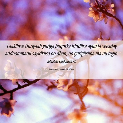 Picture 06 - Samuu'eel Labaad 11:9 SOM - Laakiinse Uuriyaah guriga boqorka iriddiisa ayuu - Bible Verse Picture