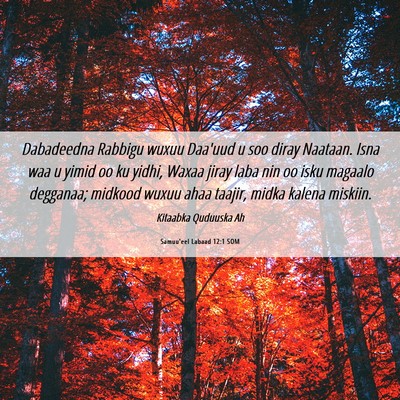 Picture 06 - Samuu'eel Labaad 12:1 SOM - Dabadeedna Rabbigu wuxuu Daa'uud u soo diray - Bible Verse Picture