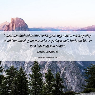 Picture 06 - Samuu'eel Labaad 12:10 SOM - Sidaas daraaddeed seeftu reerkaaga ka tegi mayso; - Bible Verse Picture