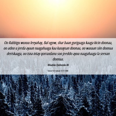 Picture 06 - Samuu'eel Labaad 12:11 SOM - Oo Rabbigu wuxuu leeyahay, Bal ogow, shar baan - Bible Verse Picture