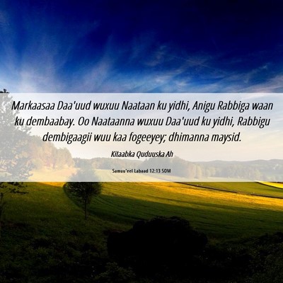 Picture 06 - Samuu'eel Labaad 12:13 SOM - Markaasaa Daa'uud wuxuu Naataan ku yidhi, Anigu - Bible Verse Picture