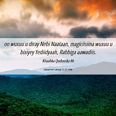 Picture 06 - Samuu'eel Labaad 12:25 SOM - oo wuxuu u diray Nebi Naataan, magiciisiina wuxuu - Bible Verse Picture