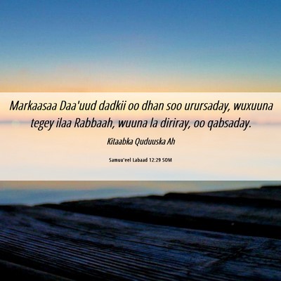 Picture 06 - Samuu'eel Labaad 12:29 SOM - Markaasaa Daa'uud dadkii oo dhan soo urursaday, - Bible Verse Picture