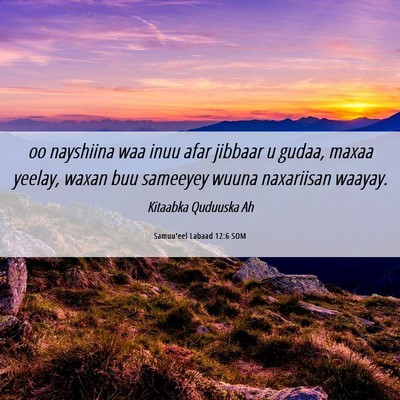 Picture 06 - Samuu'eel Labaad 12:6 SOM - oo nayshiina waa inuu afar jibbaar u gudaa, maxaa - Bible Verse Picture