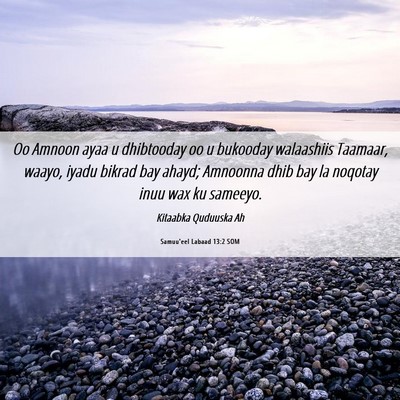 Picture 06 - Samuu'eel Labaad 13:2 SOM - Oo Amnoon ayaa u dhibtooday oo u bukooday - Bible Verse Picture
