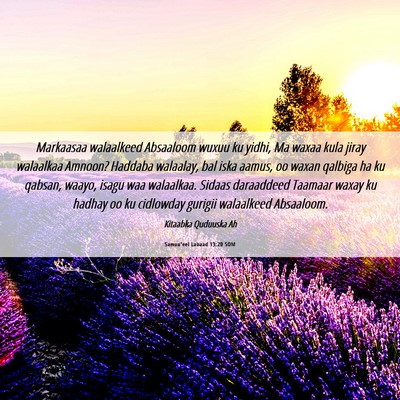 Picture 06 - Samuu'eel Labaad 13:20 SOM - Markaasaa walaalkeed Absaaloom wuxuu ku yidhi, Ma - Bible Verse Picture