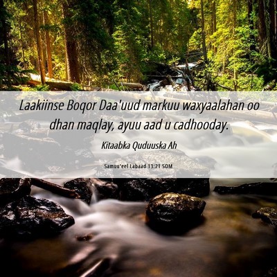 Picture 06 - Samuu'eel Labaad 13:21 SOM - Laakiinse Boqor Daa'uud markuu waxyaalahan oo - Bible Verse Picture
