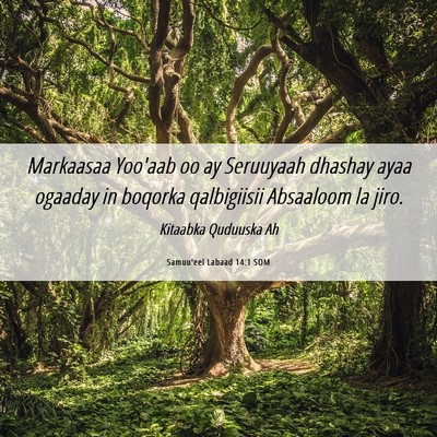 Picture 06 - Samuu'eel Labaad 14:1 SOM - Markaasaa Yoo'aab oo ay Seruuyaah dhashay ayaa - Bible Verse Picture