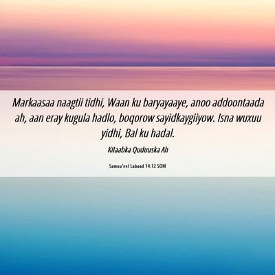 Picture 06 - Samuu'eel Labaad 14:12 SOM - Markaasaa naagtii tidhi, Waan ku baryayaaye, anoo - Bible Verse Picture