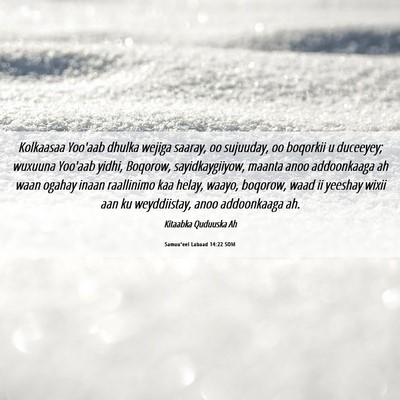 Picture 06 - Samuu'eel Labaad 14:22 SOM - Kolkaasaa Yoo'aab dhulka wejiga saaray, oo - Bible Verse Picture