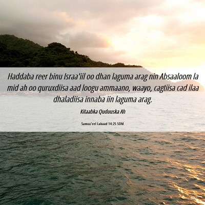 Picture 06 - Samuu'eel Labaad 14:25 SOM - Haddaba reer binu Israa'iil oo dhan laguma arag - Bible Verse Picture