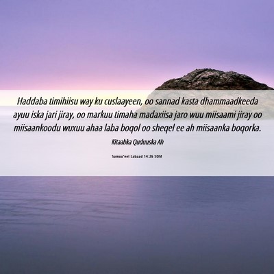 Picture 06 - Samuu'eel Labaad 14:26 SOM - Haddaba timihiisu way ku cuslaayeen, oo sannad - Bible Verse Picture