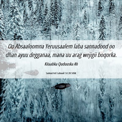 Picture 06 - Samuu'eel Labaad 14:28 SOM - Oo Absaaloomna Yeruusaalem laba sannadood oo dhan - Bible Verse Picture