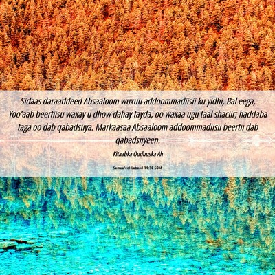 Picture 06 - Samuu'eel Labaad 14:30 SOM - Sidaas daraaddeed Absaaloom wuxuu addoommadiisii - Bible Verse Picture