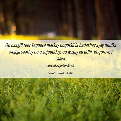 Picture 06 - Samuu'eel Labaad 14:4 SOM - Oo naagtii reer Teqooca markay boqorkii la - Bible Verse Picture
