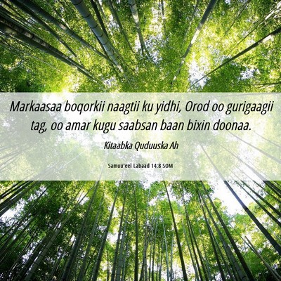 Picture 06 - Samuu'eel Labaad 14:8 SOM - Markaasaa boqorkii naagtii ku yidhi, Orod oo - Bible Verse Picture