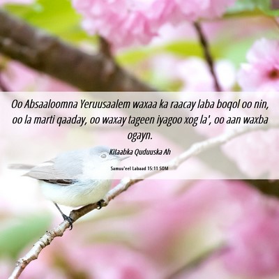 Picture 06 - Samuu'eel Labaad 15:11 SOM - Oo Absaaloomna Yeruusaalem waxaa ka raacay laba - Bible Verse Picture