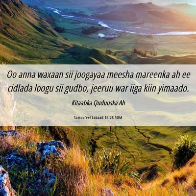 Picture 06 - Samuu'eel Labaad 15:28 SOM - Oo anna waxaan sii joogayaa meesha mareenka ah ee - Bible Verse Picture