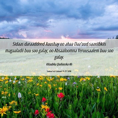 Picture 06 - Samuu'eel Labaad 15:37 SOM - Sidaas daraaddeed Xuushay oo ahaa Daa'uud - Bible Verse Picture