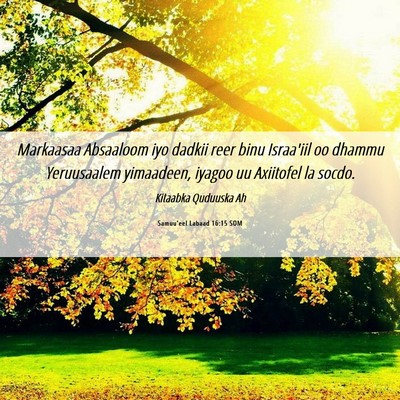 Picture 06 - Samuu'eel Labaad 16:15 SOM - Markaasaa Absaaloom iyo dadkii reer binu - Bible Verse Picture