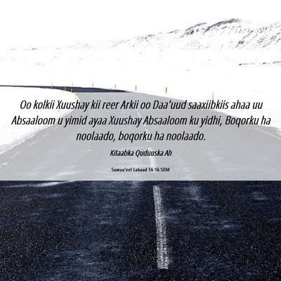 Picture 06 - Samuu'eel Labaad 16:16 SOM - Oo kolkii Xuushay kii reer Arkii oo Daa'uud - Bible Verse Picture
