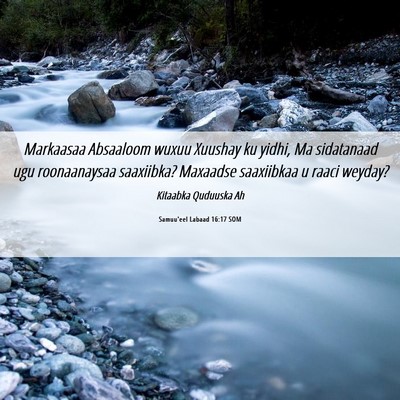 Picture 06 - Samuu'eel Labaad 16:17 SOM - Markaasaa Absaaloom wuxuu Xuushay ku yidhi, Ma - Bible Verse Picture