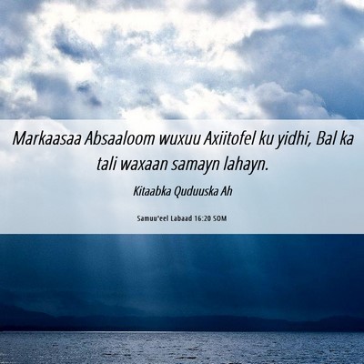 Picture 06 - Samuu'eel Labaad 16:20 SOM - Markaasaa Absaaloom wuxuu Axiitofel ku yidhi, Bal - Bible Verse Picture