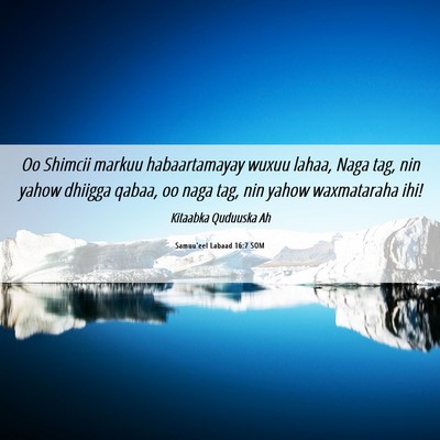Picture 06 - Samuu'eel Labaad 16:7 SOM - Oo Shimcii markuu habaartamayay wuxuu lahaa, Naga - Bible Verse Picture