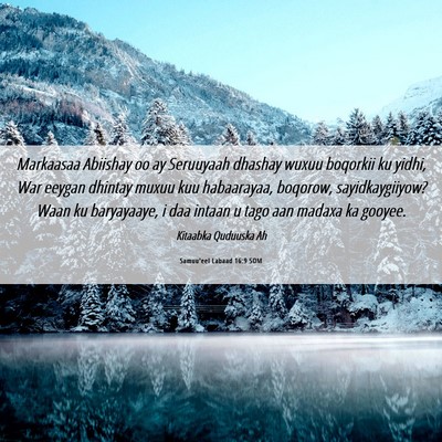 Picture 06 - Samuu'eel Labaad 16:9 SOM - Markaasaa Abiishay oo ay Seruuyaah dhashay wuxuu - Bible Verse Picture
