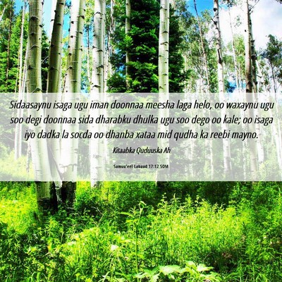 Picture 06 - Samuu'eel Labaad 17:12 SOM - Sidaasaynu isaga ugu iman doonnaa meesha laga - Bible Verse Picture