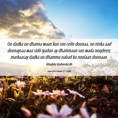 Picture 06 - Samuu'eel Labaad 17:3 SOM - Oo dadka oo dhanna waan kuu soo celin doonaa, oo - Bible Verse Picture