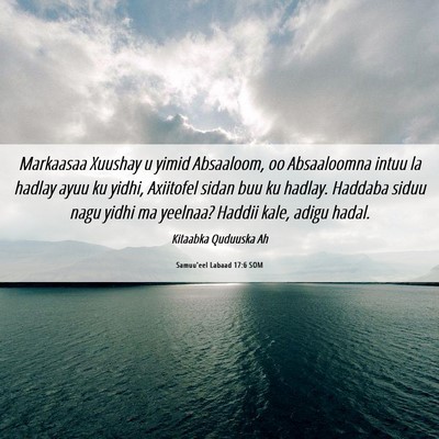 Picture 06 - Samuu'eel Labaad 17:6 SOM - Markaasaa Xuushay u yimid Absaaloom, oo - Bible Verse Picture