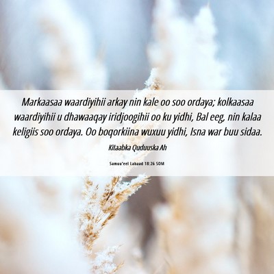 Picture 06 - Samuu'eel Labaad 18:26 SOM - Markaasaa waardiyihii arkay nin kale oo soo - Bible Verse Picture