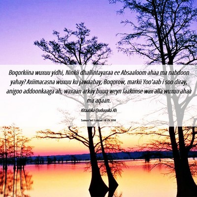 Picture 06 - Samuu'eel Labaad 18:29 SOM - Boqorkiina wuxuu yidhi, Ninkii dhallintayaraa ee - Bible Verse Picture