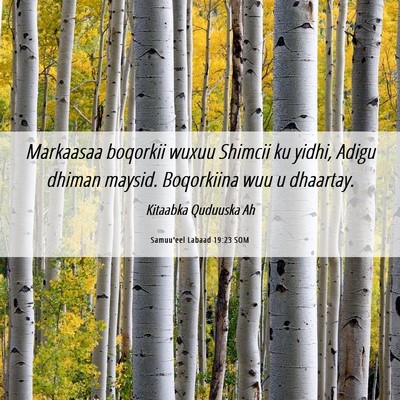Picture 06 - Samuu'eel Labaad 19:23 SOM - Markaasaa boqorkii wuxuu Shimcii ku yidhi, Adigu - Bible Verse Picture