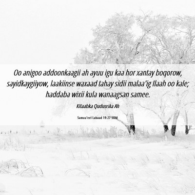 Picture 06 - Samuu'eel Labaad 19:27 SOM - Oo anigoo addoonkaagii ah ayuu igu kaa hor xantay - Bible Verse Picture