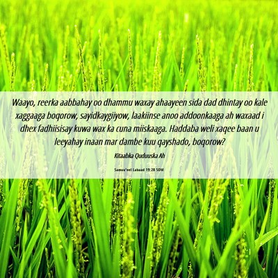Picture 06 - Samuu'eel Labaad 19:28 SOM - Waayo, reerka aabbahay oo dhammu waxay ahaayeen - Bible Verse Picture