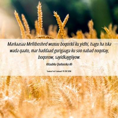Picture 06 - Samuu'eel Labaad 19:30 SOM - Markaasaa Mefiiboshed wuxuu boqorkii ku yidhi, - Bible Verse Picture